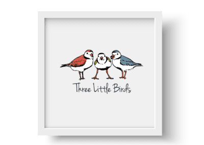 Image Three Little Birds Logo